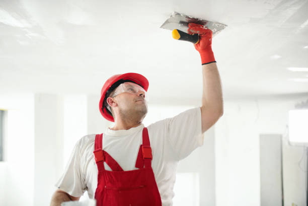 Best Trim and Molding Painting  in Moweaqua, IL