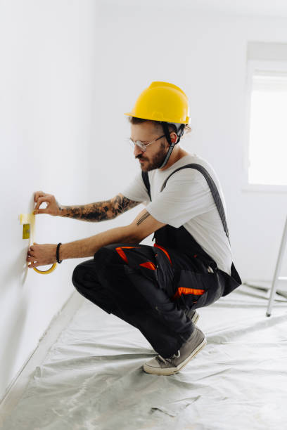 Best Drywall Removal and Disposal  in Moweaqua, IL