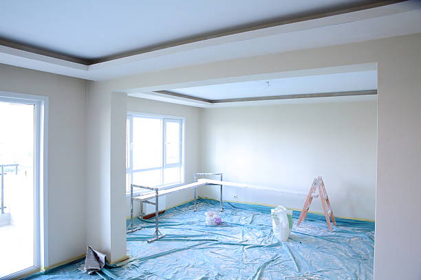 Best Drywall Sanding and Smoothing  in Moweaqua, IL