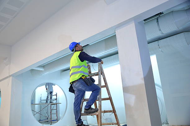 Best Repainting for Renovations  in Moweaqua, IL